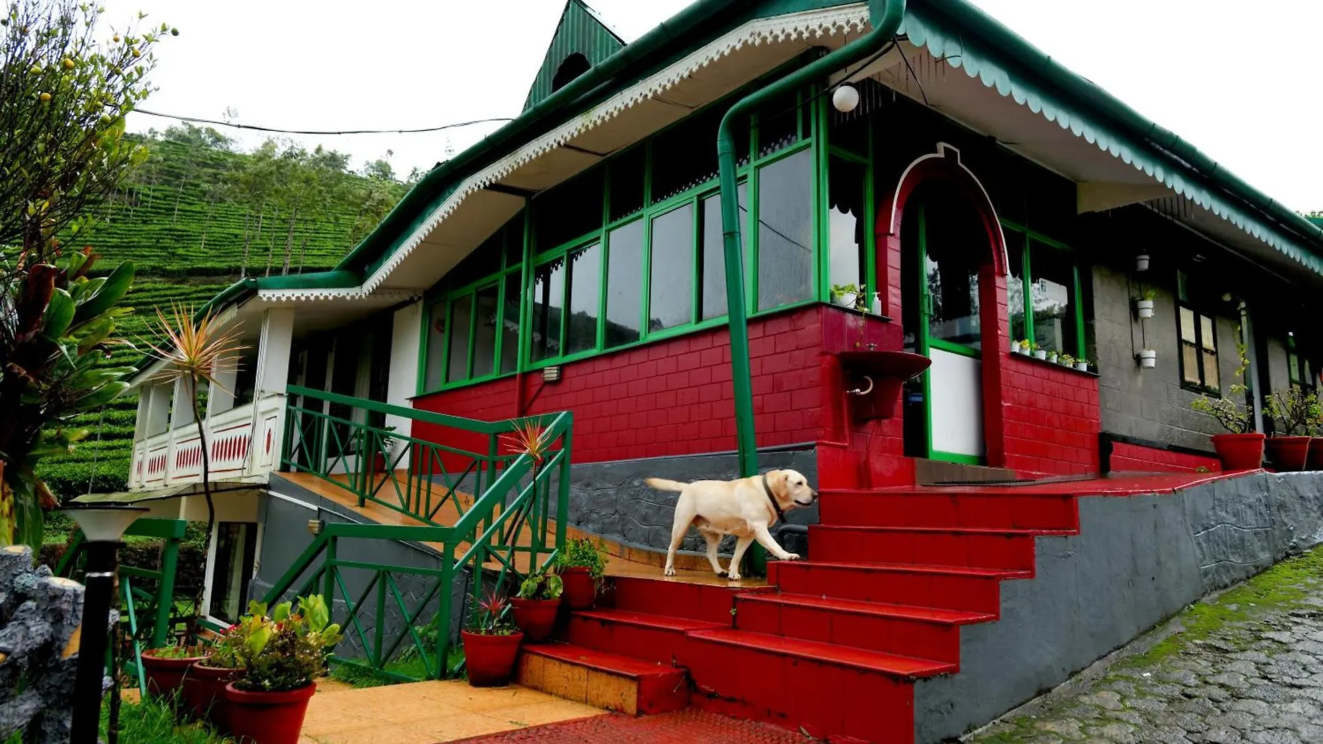 Camelot Resort Munnar