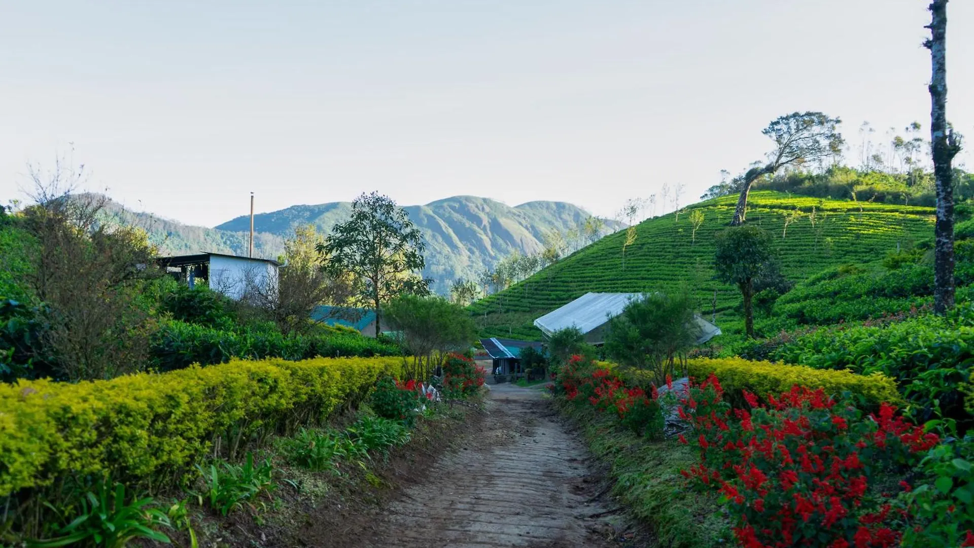 Camelot Resort Munnar 3*,  India